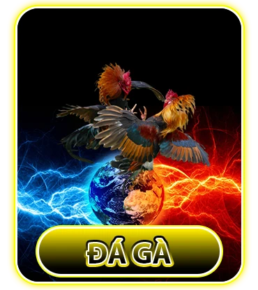 79KING 33 ĐÁ GÀ
